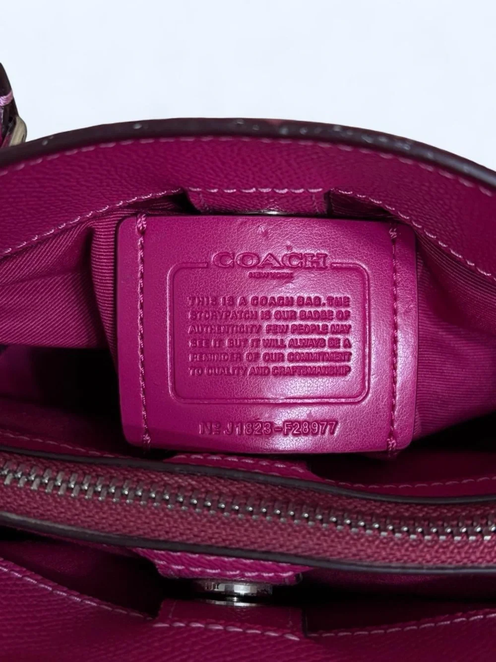 Coach classic mini